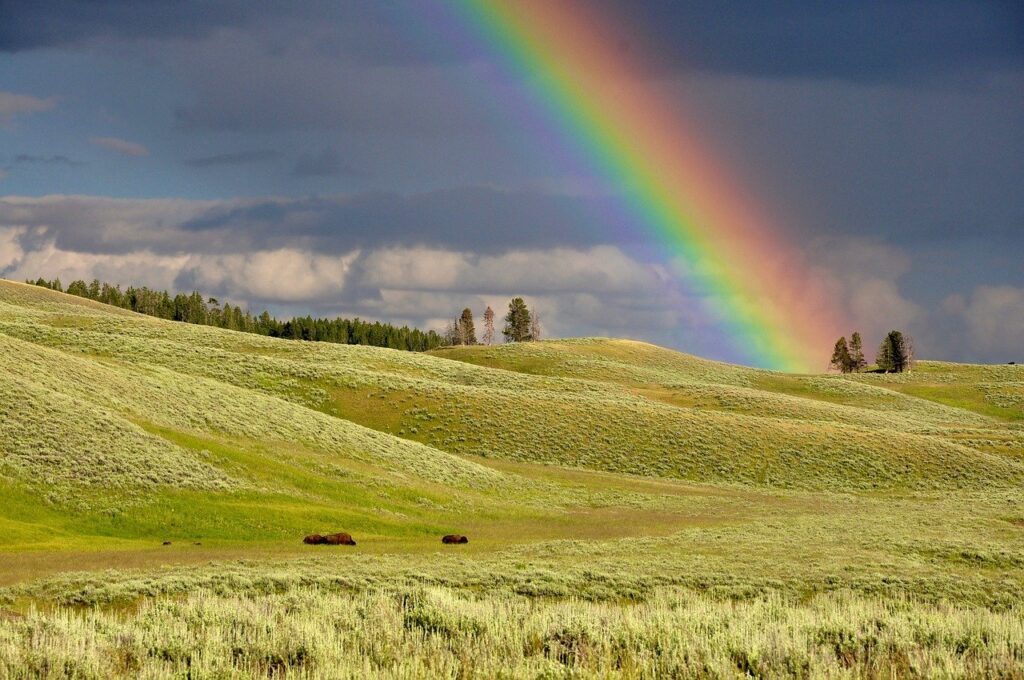 rainbow, hills, meadows-1834809.jpg